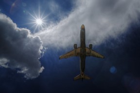 世界乒乓球联赛青训成果与青年选手晋升名单公布，2021世界乒乓球青年锦标赛